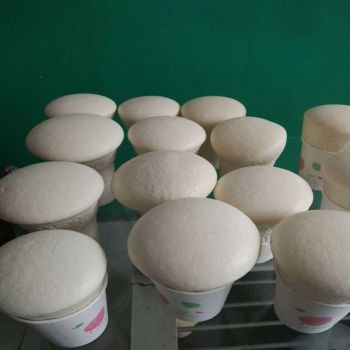 名晖 发泡剂 亲水性10kg 白色