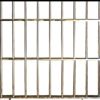 启功 不锈钢防盗窗 飘窗可开小门 单位一平米 QG-FDC420 不锈钢