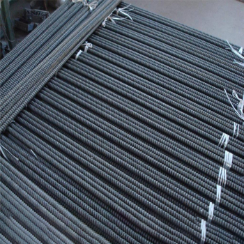 鼎力 无纵肋螺纹钢式树脂锚杆