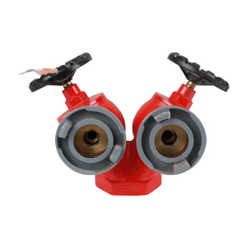 鼎梁 双头稳压型室内消火栓 SNSSW65-I 1.6Mpa