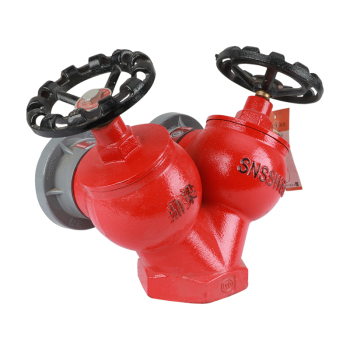 鼎梁 双头稳压型室内消火栓 SNSSW65-I 1.6Mpa