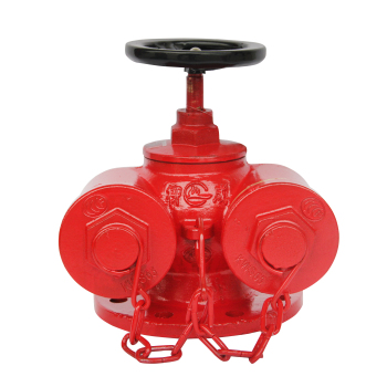 柳成 地上水泵接合器