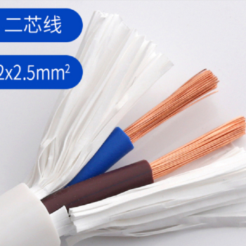 银根 电线 2*1.5