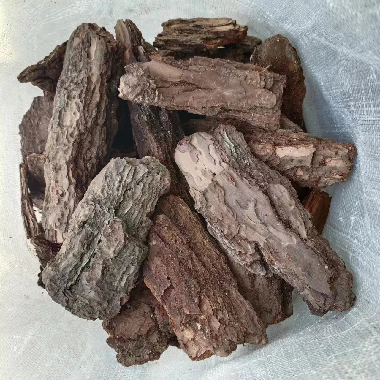 树皮