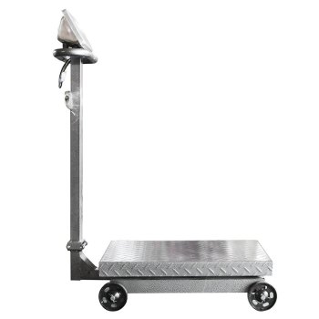 永州 充电式电子秤807型 600kg