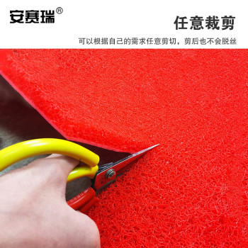 安赛瑞 12655 PVC丝圈防滑走道垫 12655 1.8*12m/红色