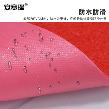 安赛瑞 12655 PVC丝圈防滑走道垫 12655 1.8*12m/红色